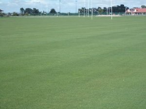 Superior Playing Surface